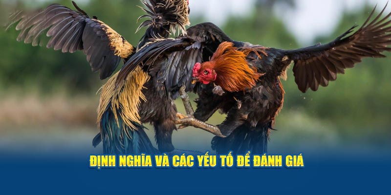 Định nghĩa và các yếu tố để đánh giá