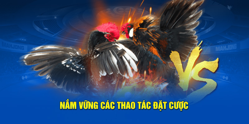 Nắm vững các thao tác đặt cược