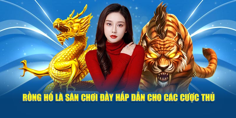 Rồng Hổ là sân chơi đầy hấp dẫn cho các cược thủ