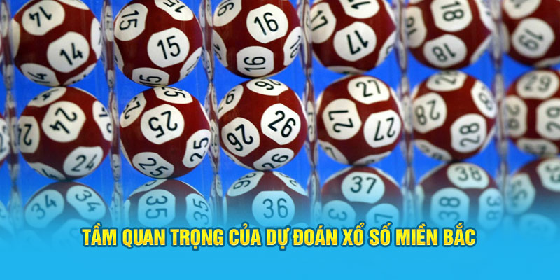 Tầm quan trọng của dự đoán xổ số miền Bắc